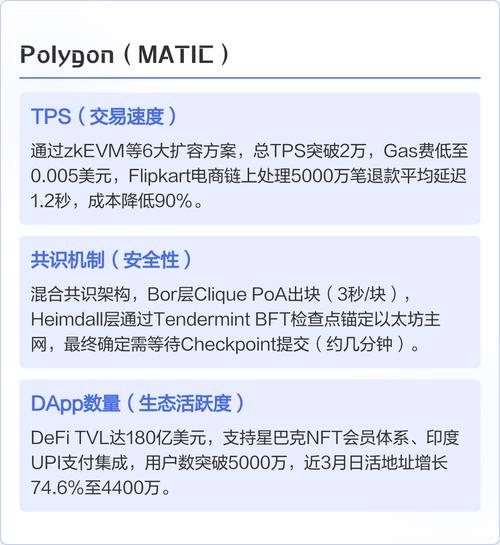主流区块链技术参数与生态盘点 区块链技术相关软件与服务全景解析